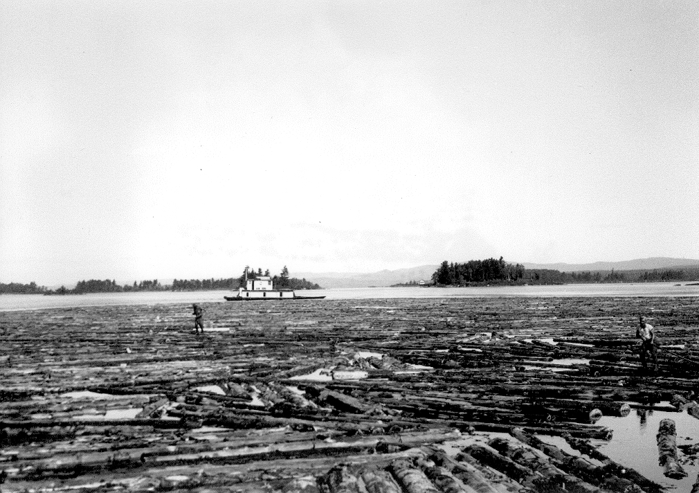 Photo of log jam at Petawawa Point