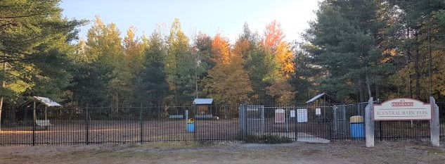 Image of dog park from outside the fence