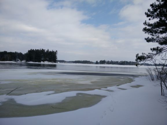 Image of ice forming on the edge of a body of water with open ice beyond