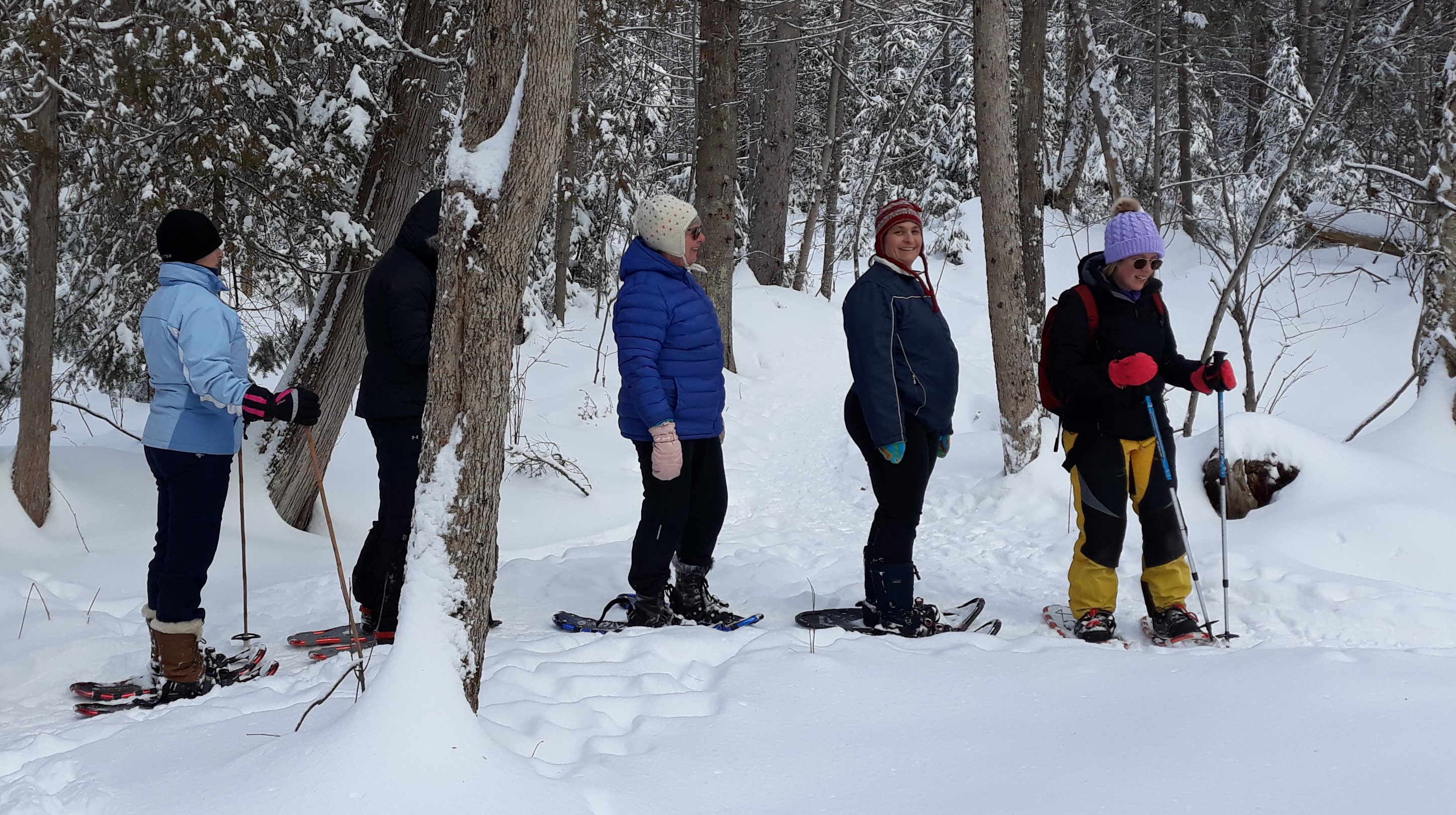 Line of snowshoe enthusiasts in the woods