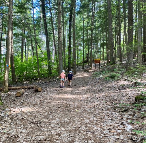 Image of 2 kiddos hiking on Barron Canyon Trail