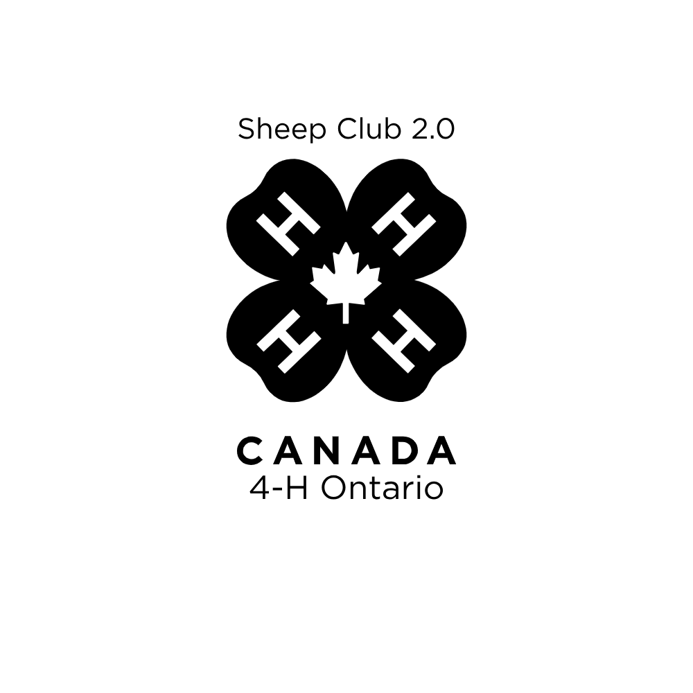 4-H Club Logo